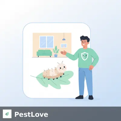 Gestión de la Procesionaria del Roble: Protocolos de Seguridad Pública para Parques Municipales