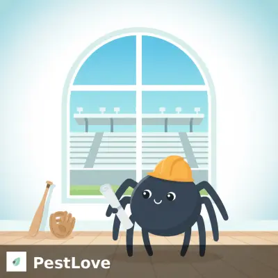 スポーツスタジアム・トレーニング施設・観客席構造におけるクロゴケグモ（Latrodectus）の排除と安全プロトコル