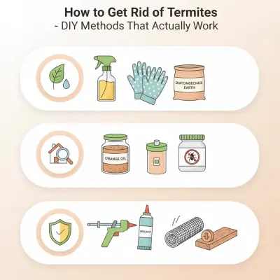 How to Get Rid of Termites - DIY Methods That Actually Work