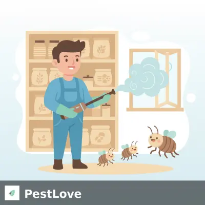 Spring Grain Pest Fumigation for Turkish Mills