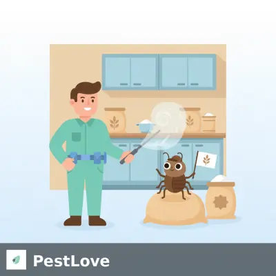 Spring Grain Pest Fumigation for Turkish Mills