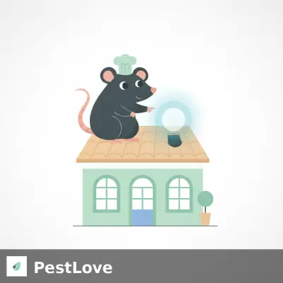 Penyegelan Rongga Atap dari Tikus Hitam: Restoran Lisbon