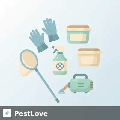 Wasp Nest Removal SOPs for Finnish Cottages