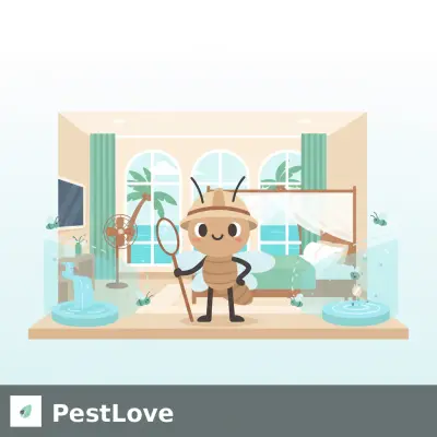 Mosquito Abatement Strategies for Tropical Resorts: Guest Safety and Comfort