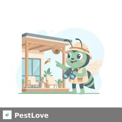 Wasp Nest Surveys for Kenyan Lodge Verandas